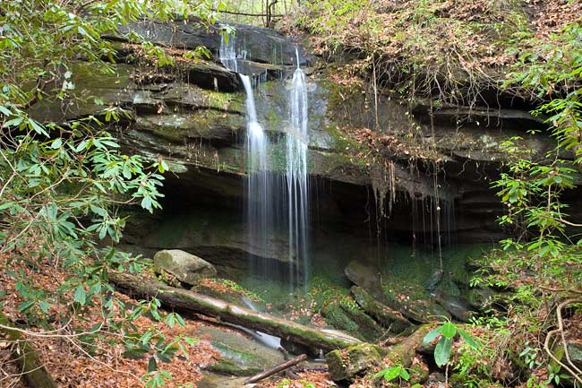 Laurel Creek Tributary 1