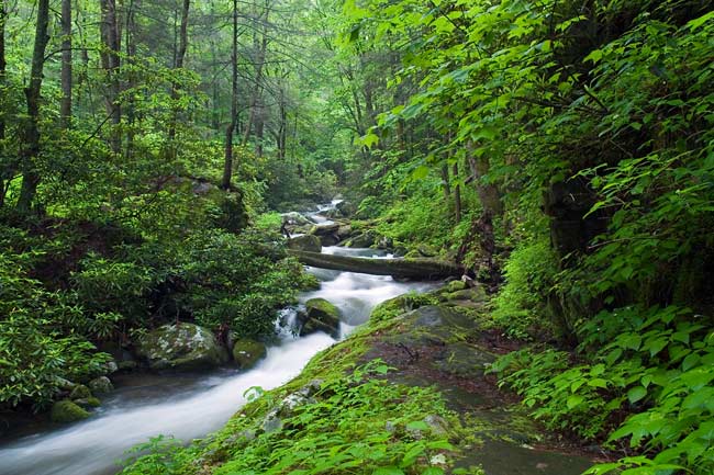 Roaring Fork