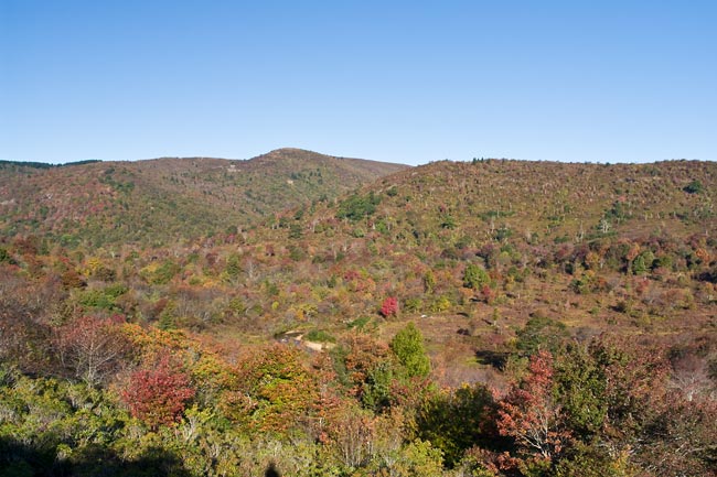 Looking for Early Fall Color 4