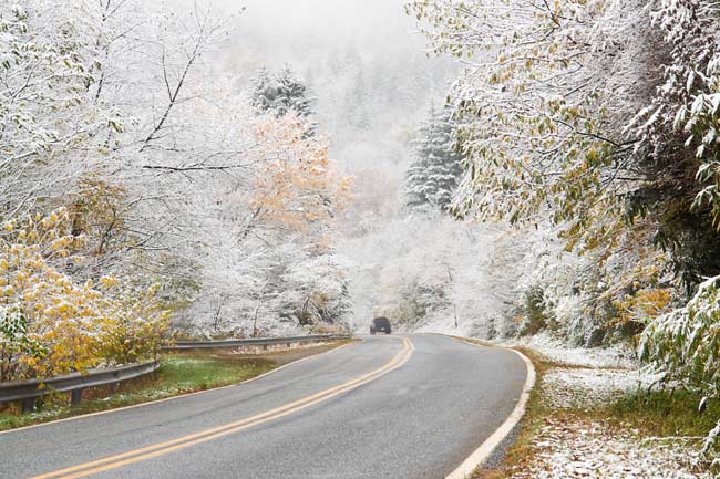 October Snow 9