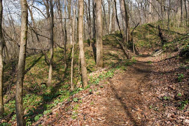 Chestnut Ridge Heritage Preserve 11