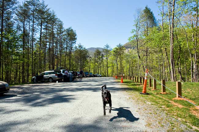 Rumbling Bald Mountain 13