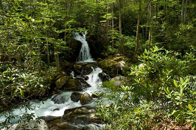 Mouse Creek Falls 1