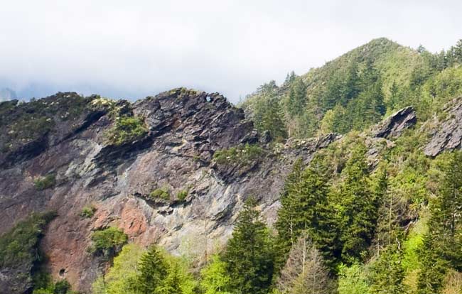 Alum Cave Trail 8