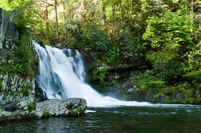 Cades Cove 25