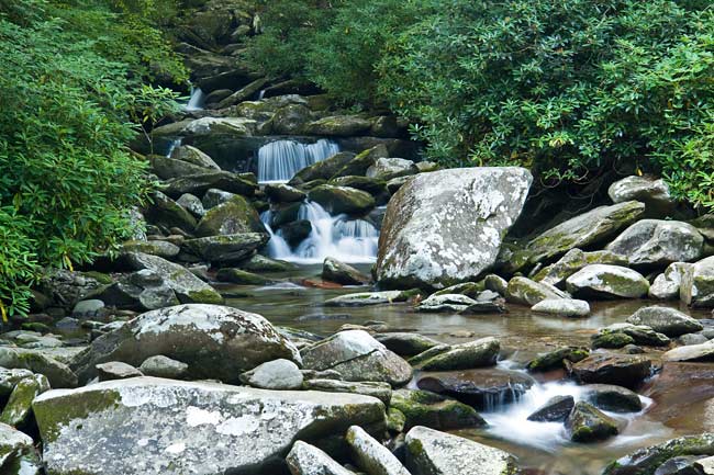 Chimney Tops Trail 7