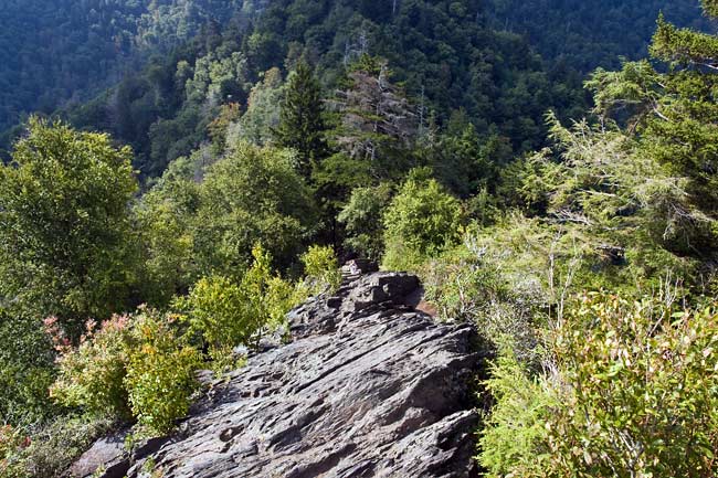 Chimney Tops Trail 10