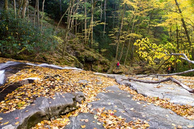Piney Mountain Creek 6