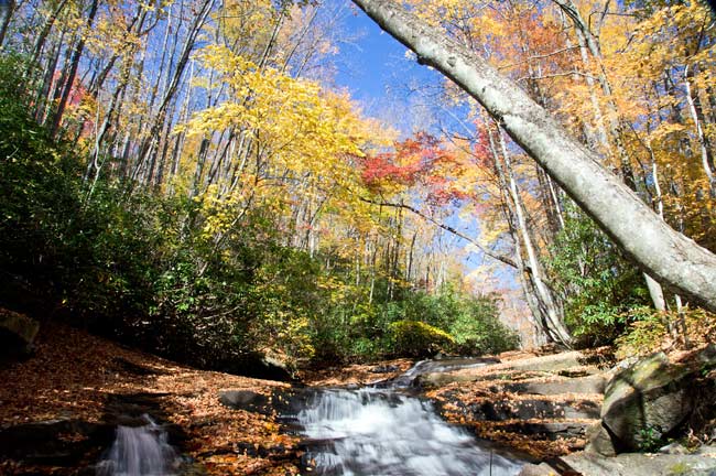 October 23 - Looking for Fall Color with Cindy