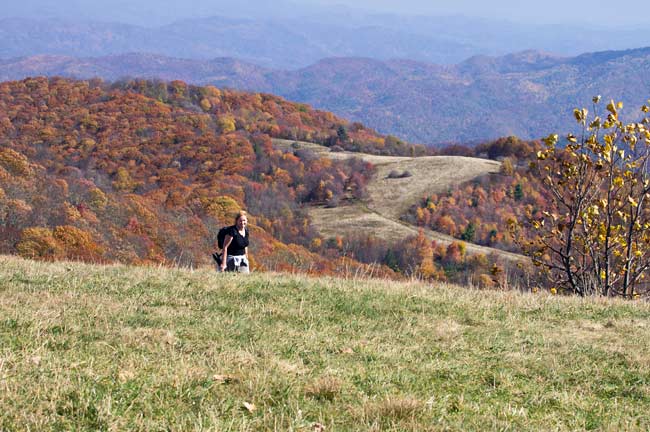 Max Patch Mountain 7