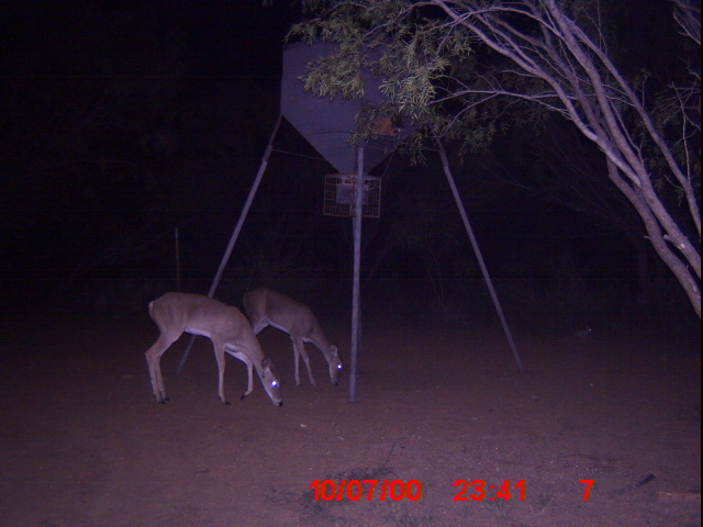 ICAM0005.JPG