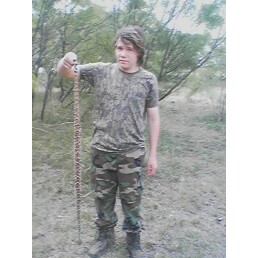 rattlesnake.jpg
