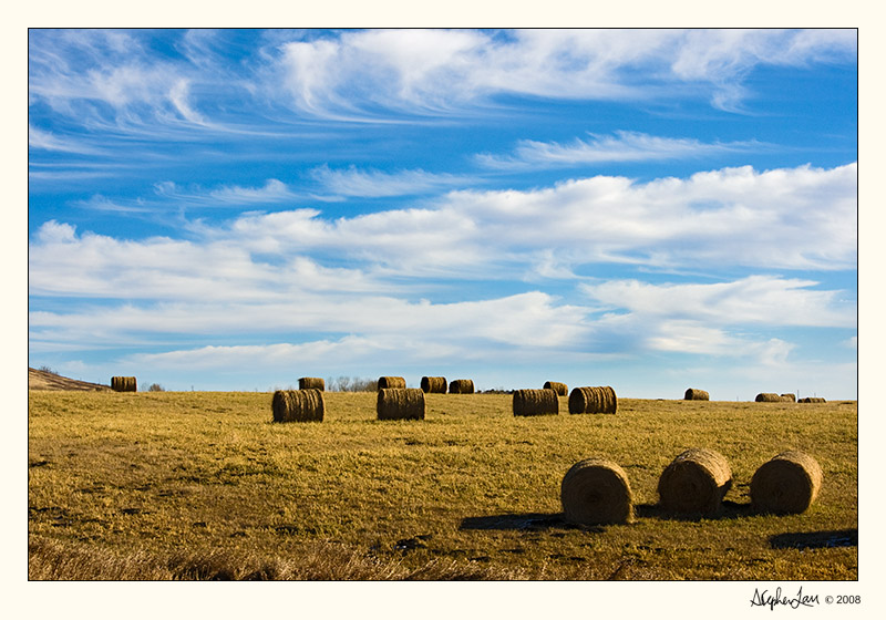 20081109_Calgary_0001.jpg