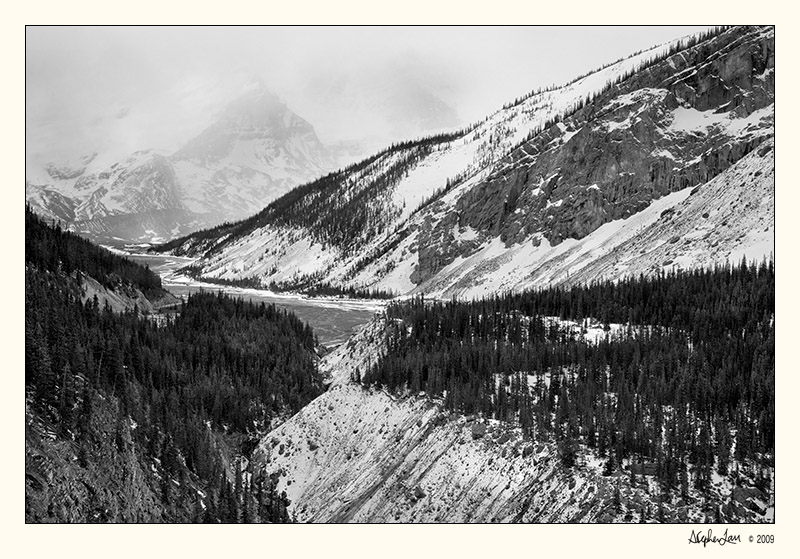 20090520_Jasper_0129.jpg