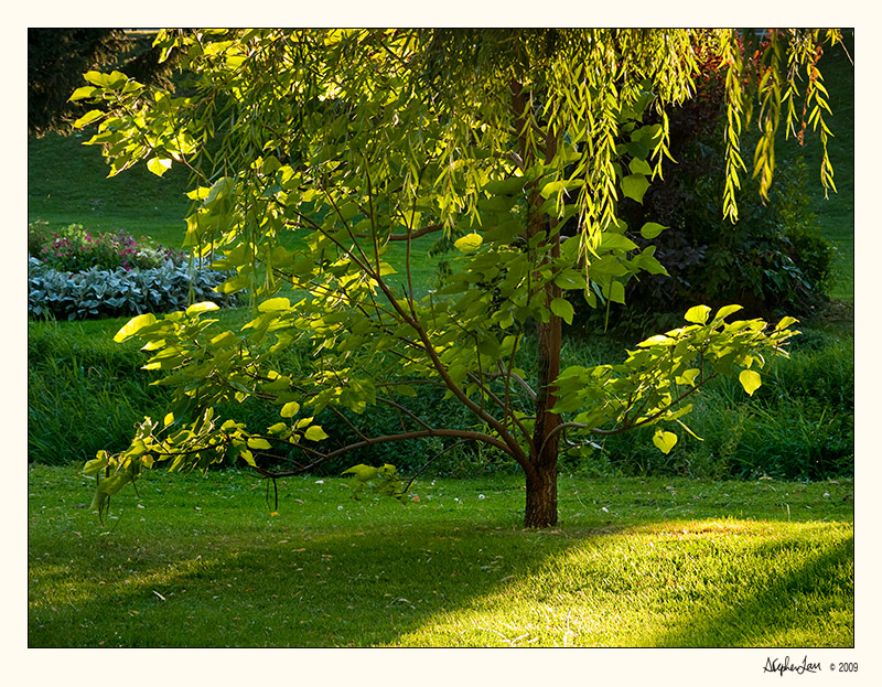 20090927_BC_0107.jpg
