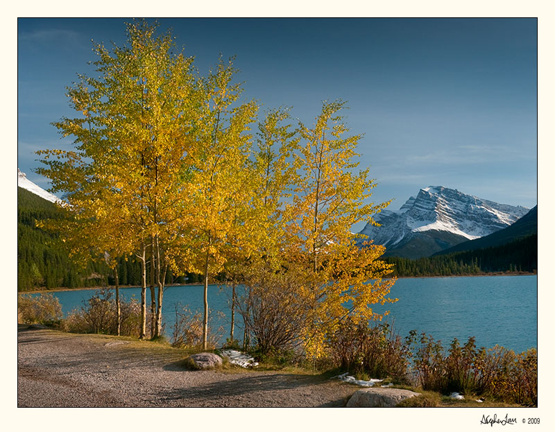 20091005_Jasper_0016.jpg