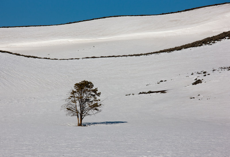 20110514_Yellowstone_0550.jpg
