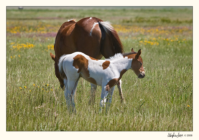 20080622_Standoff_0010.jpg