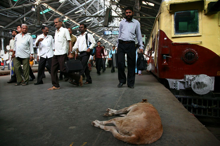 Victoria Terminus