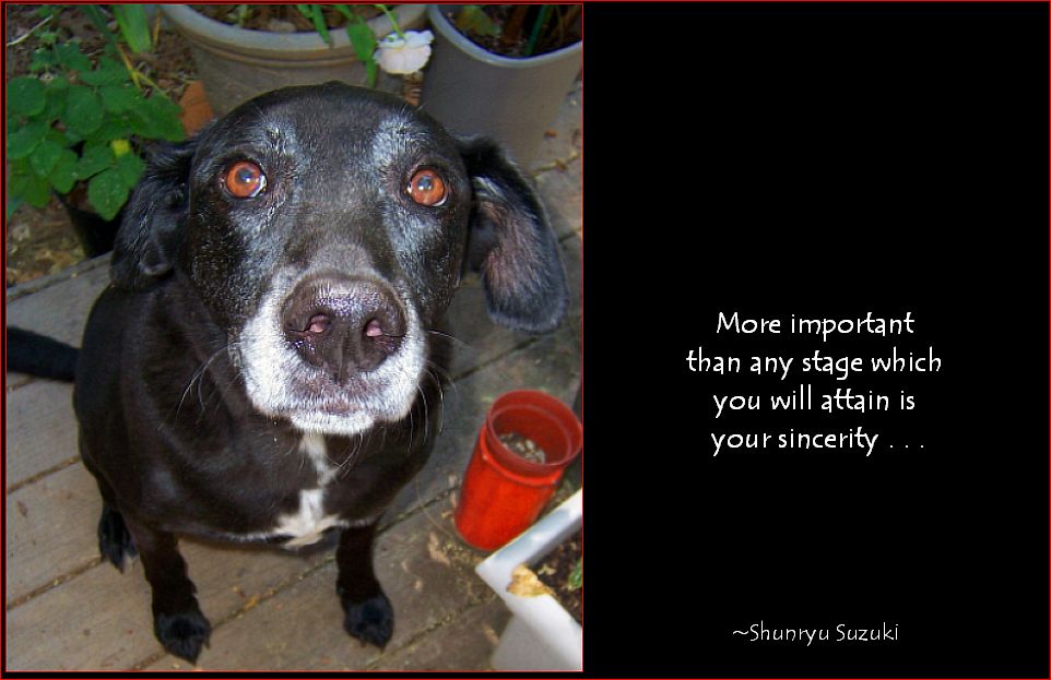 Sincerity