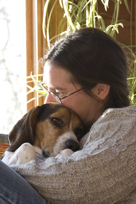 Dogs-15.jpg