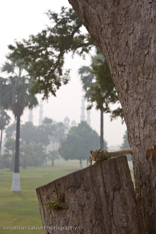 Agra-103.jpg