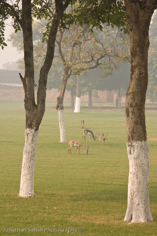 Agra-92.jpg