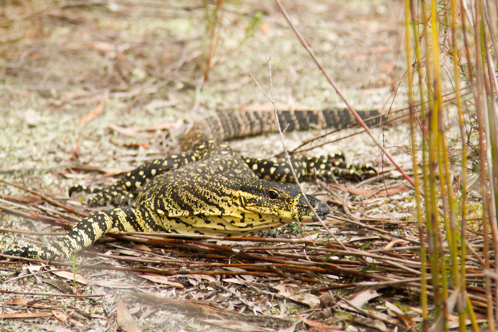 Australia-319.jpg