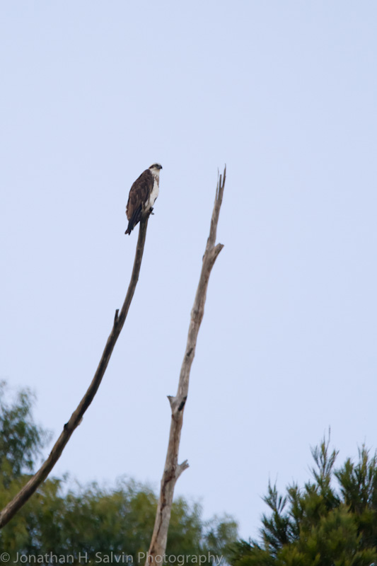 Australia-490.jpg