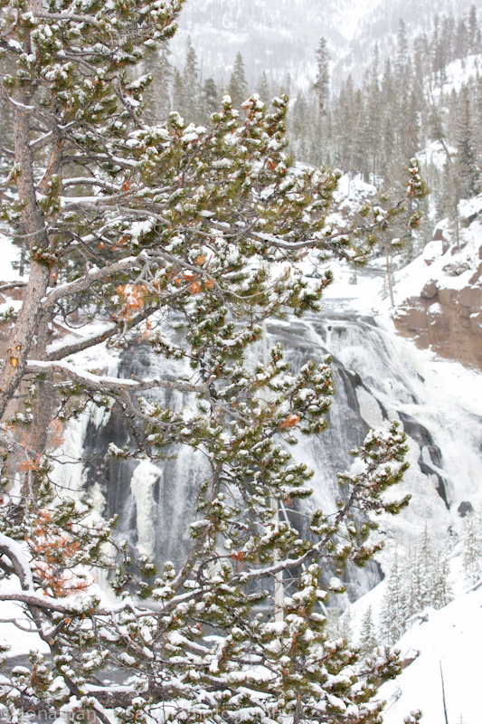 Yellowstone-730.jpg