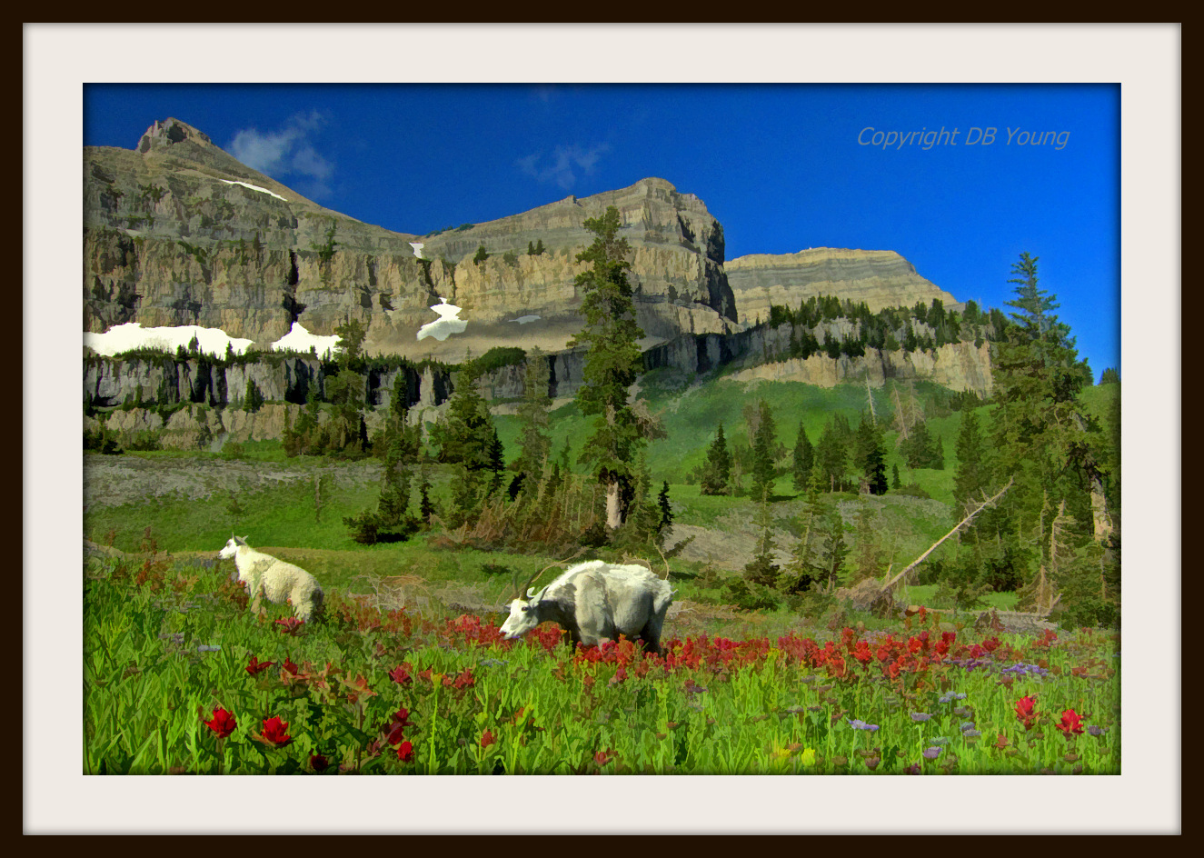Mountain goats in wildflowers.jpg