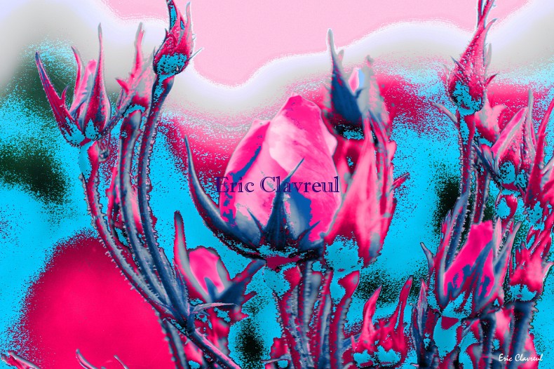 Rose et bleu