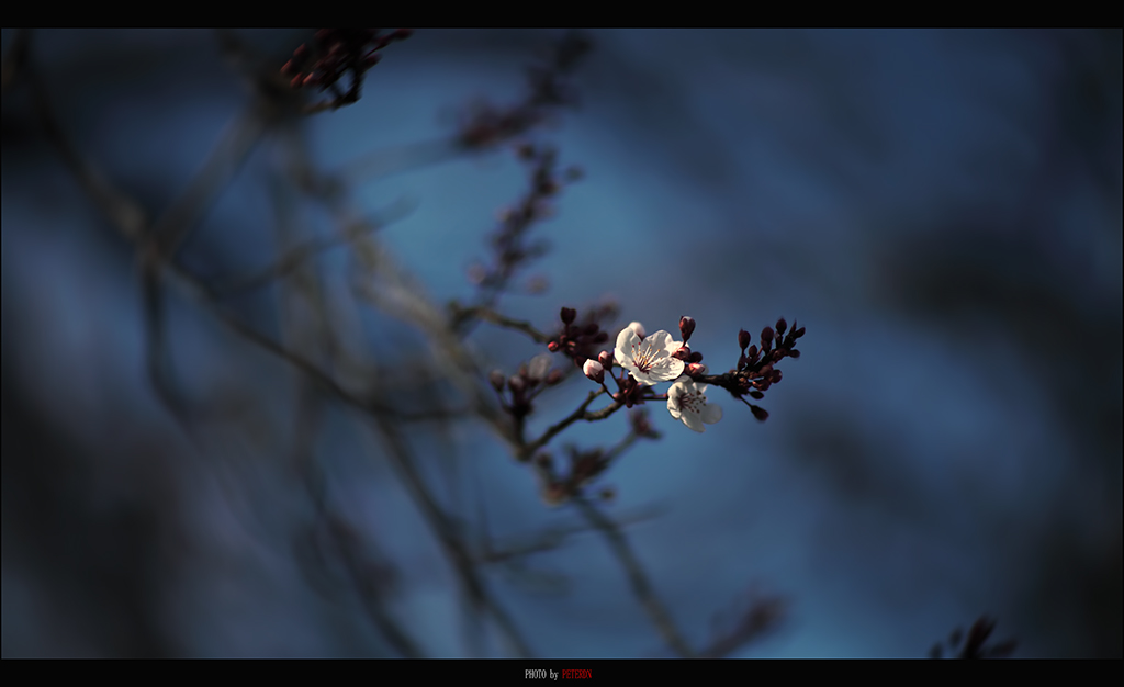 IMG_4624.jpg