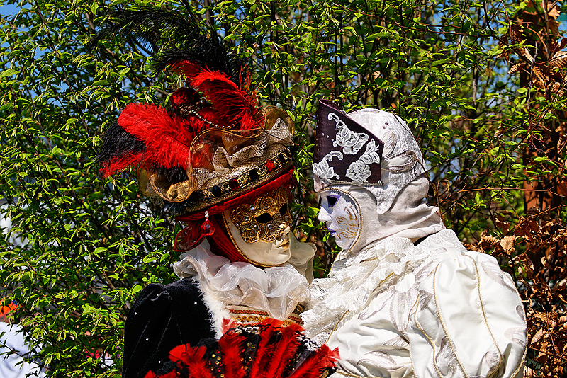 Carnaval Venitien Paris 2010 _011.jpg