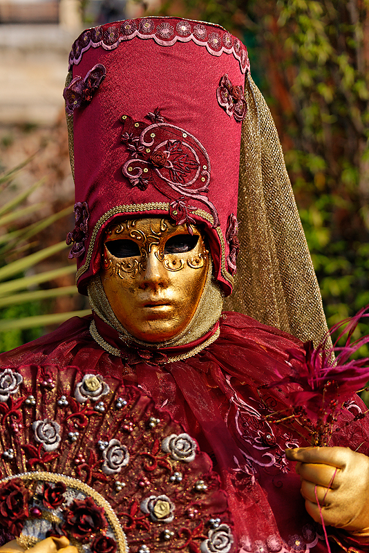 Carnaval Venitien Paris 2010 _095.jpg