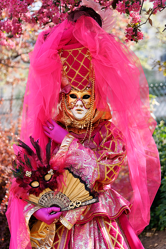 Carnaval Venitien Paris 2010 _123.jpg