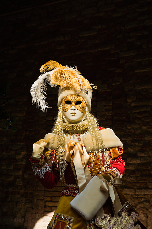 Carnaval Venise 2012 _156.jpg