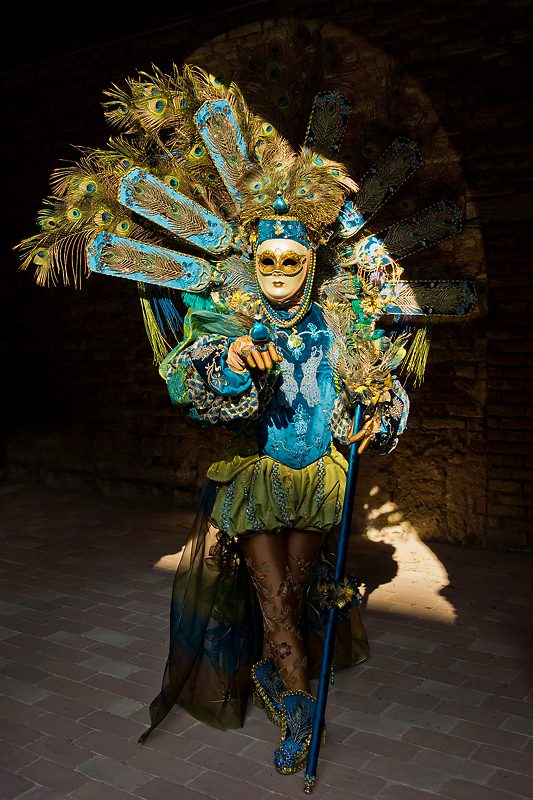 Carnaval Venise 2012 _157.jpg