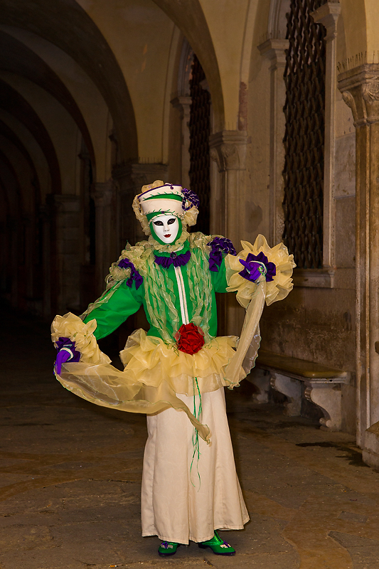 Carnaval Venise 2012 _408.jpg