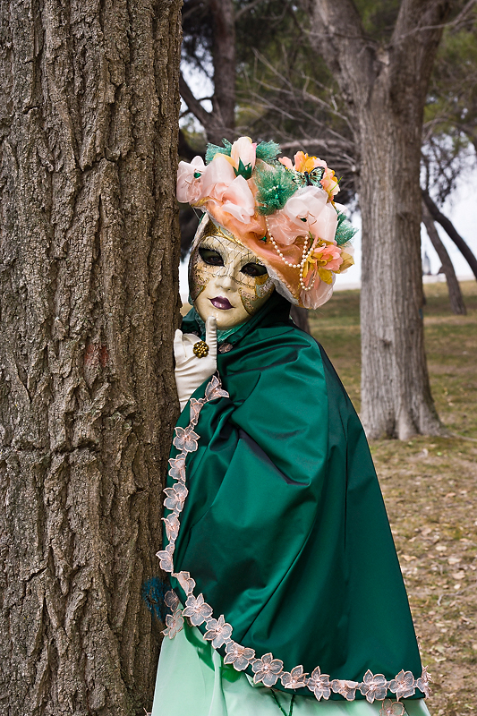 Carnaval Venise 2012 _764.jpg