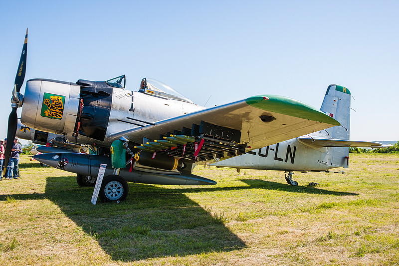 La Ferte Alais 2012 _013.jpg