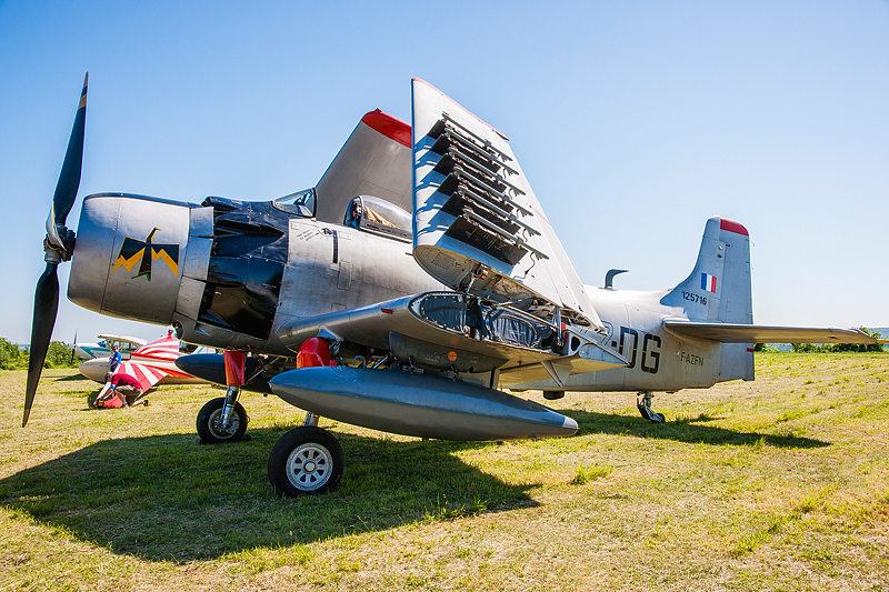 La Ferte Alais 2012 _014.jpg