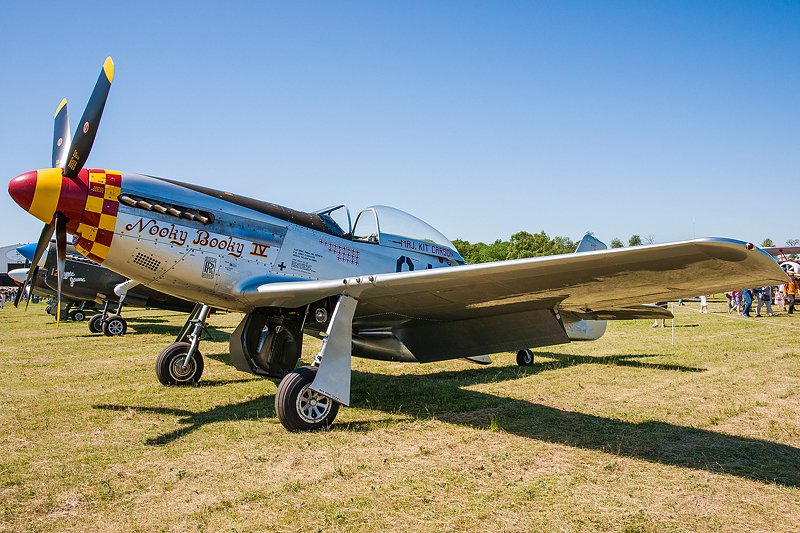La Ferte Alais 2012 _021.jpg
