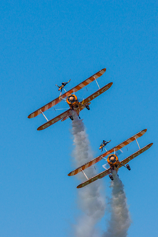La Ferte Alais 2012 _131.jpg