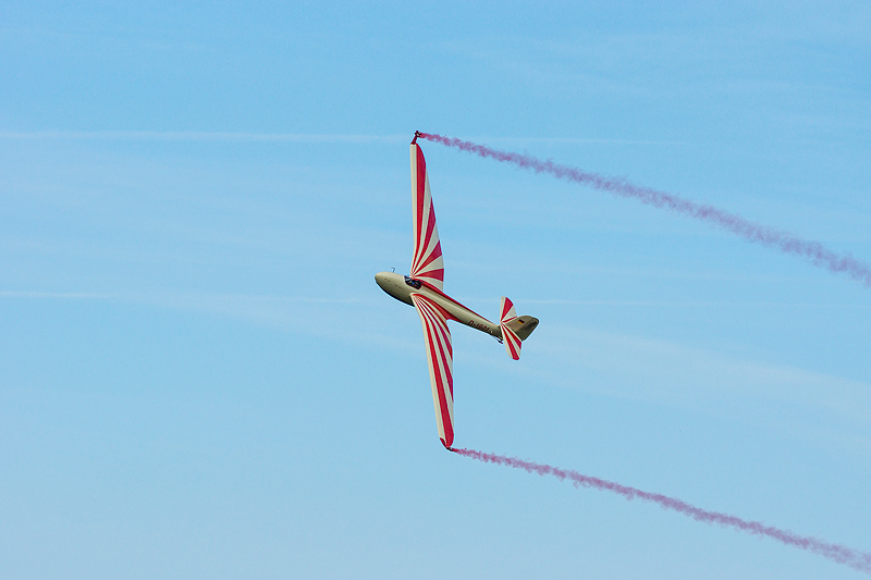 La Ferte Alais 2012 _219.jpg