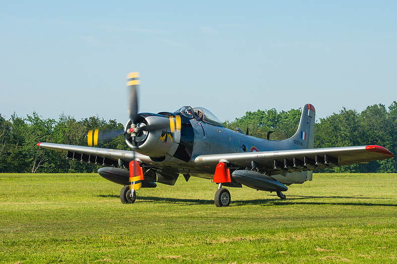 La Ferte Alais 2012 _250.jpg