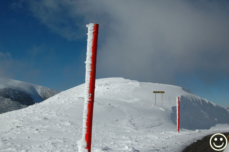 DSC_2368 Little Baldy near Mt Hotham Vic.jpg