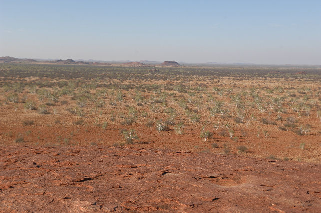 From the top of Cheetara Rock.jpg