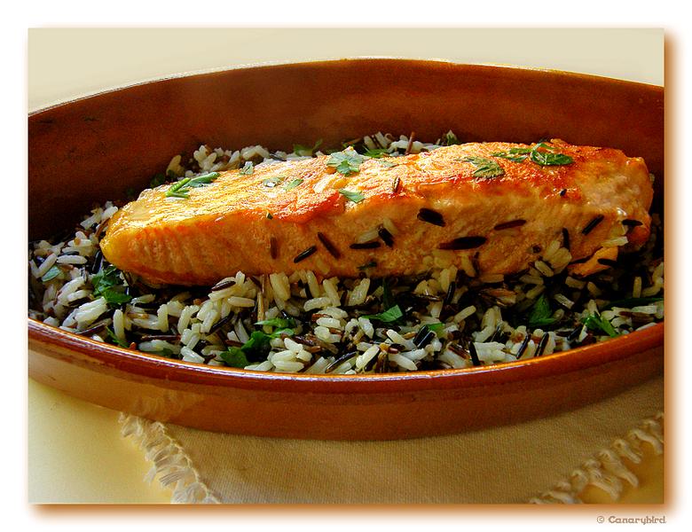 Salmon & Wild Rice.jpg