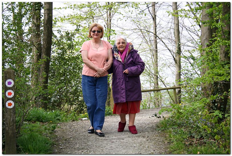 Bluebell walk